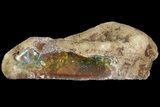Precious, Ethiopian Fire Opal ( g) #190263-1